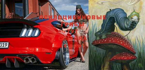 прущая мука Надым